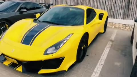 💨🏎️ This V12 Engine Sound is PURE Symphony! | LuxurySportsCars