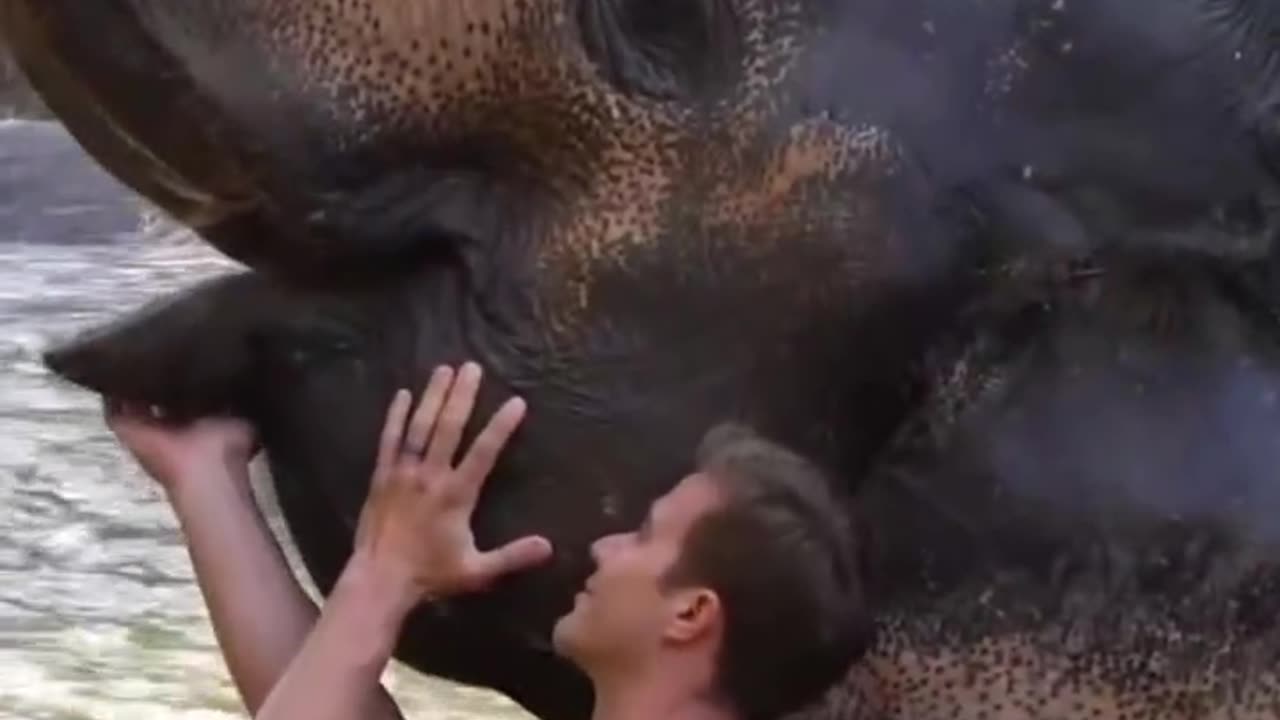 Taking a bath with an Elephant