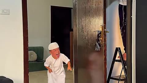 funny videos