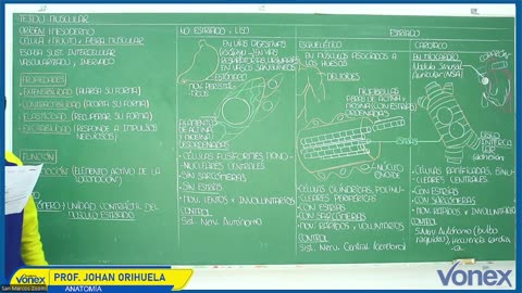 VONEX SEMIANUAL 2025 | Semana 06 | Anatomía