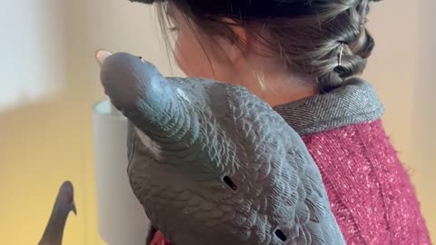 Pigeon Lady Costume from Home Alone