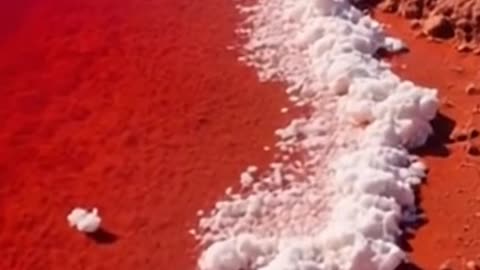 The Lake That Turns Animals to Stone!😱