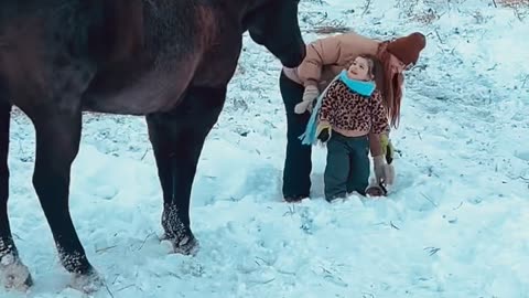 Horse Picks Up Toddler Looking for Treats
