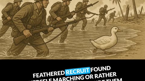 Episode 7: Marine Duck