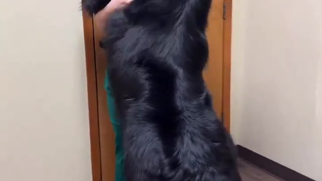 Big Hugs