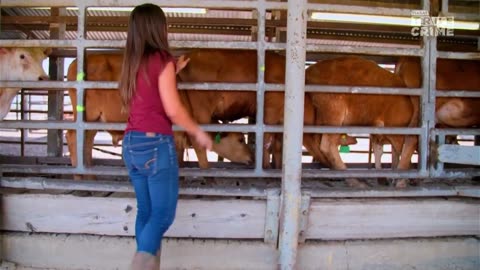 AMERYKAŃSKIE GRANICE 5 dokument pl