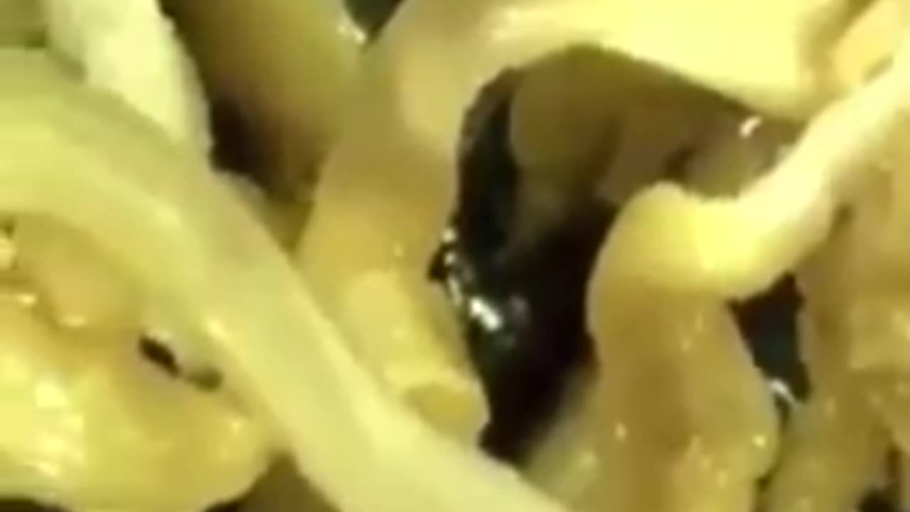 Engineered bio structures are now appearing in people's arteries.