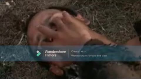 Brother Sun Sister Moon Clare Scenes Part 2 Final