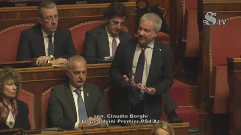 Borghi - Intervento in Senato (04.03.25)