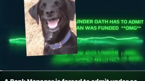 Banker got caught while answering questions, share!