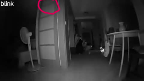 😱💡 Strange Noise and Light Halo Back at My Apartment! | TheHauntingHour