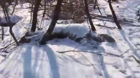 Очередные молодые и шутливые