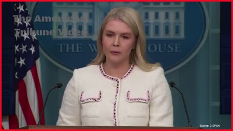 Leavitt Announces Huge Admin Response To Woke Dems' Licensing Of Illegal Truck Drivers