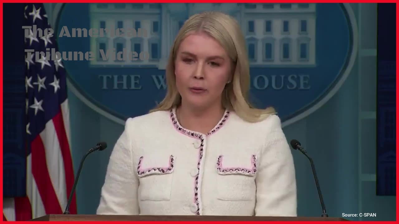 Leavitt Announces Huge Admin Response To Woke Dems' Licensing Of Illegal Truck Drivers