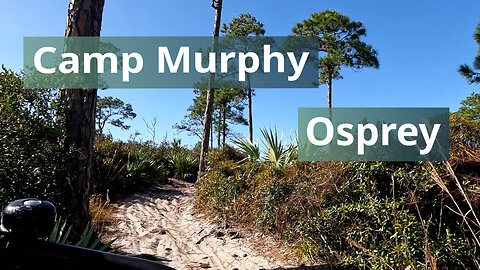 Osprey Trail, Camp Murphy, Jonathan Dickinson State Park