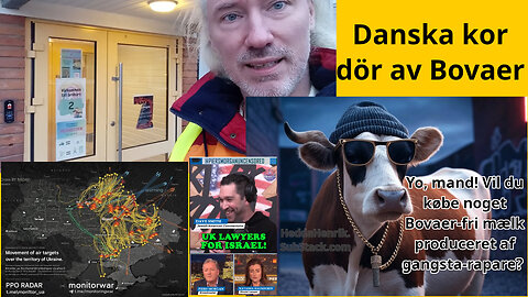 Fråga snällt! Grok jobbråd. Hyr rätt folk! Krig mot Jesus. 1M Berlin-träd. Sionistdårar. Stegerud