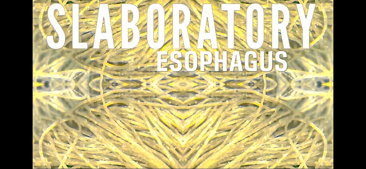 Slaboratory - Esophagus