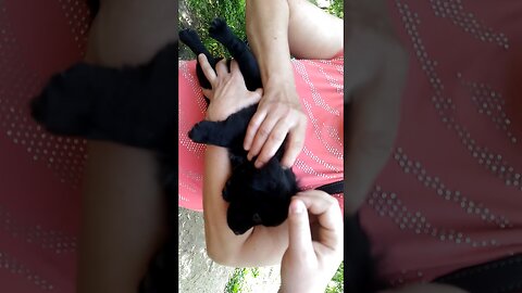 Montík - Návštěva {CZ}
