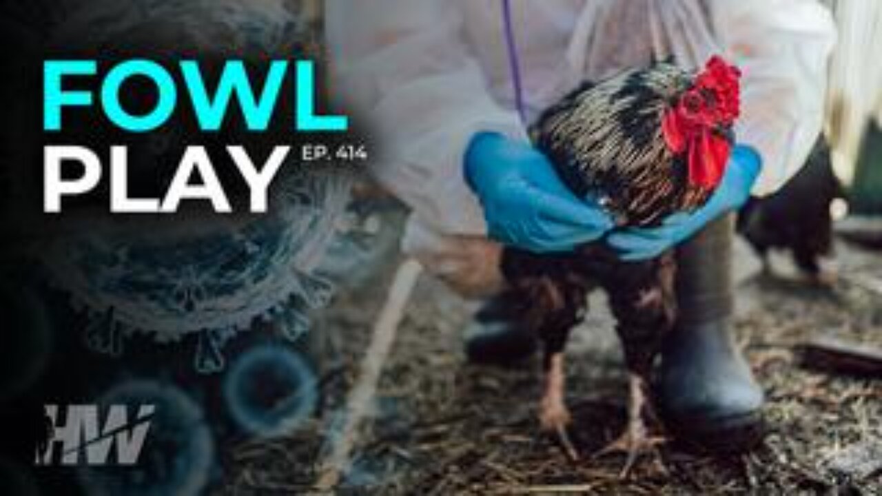 The Highwire - Episode 414: Fowl Play