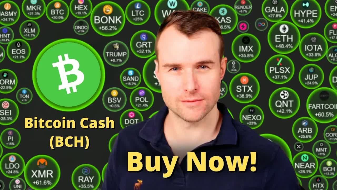 Bitcoin Cash - Don't Wait! ⚠️ BCH Crypto Token Analysis