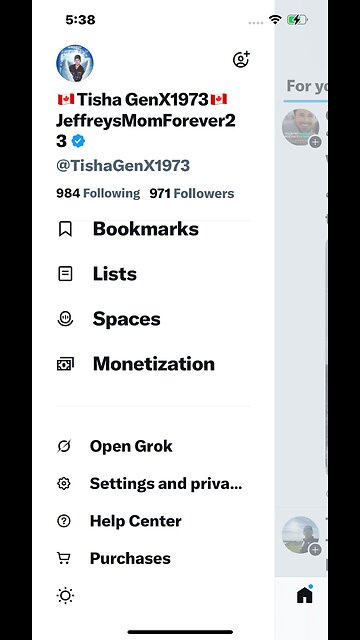 Hey Elon… I Paid to Prove I’m Not a Bot. Now Give My Account Back!