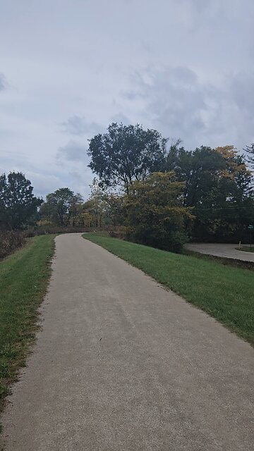 A Panaramic View of Fall in Northeastern Illinois