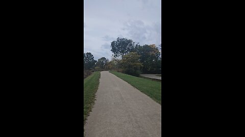 A Panaramic View of Fall in Northeastern Illinois