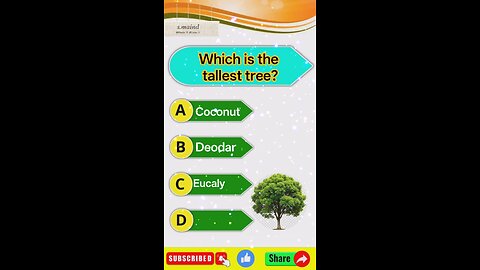 which is tallest three🌳🌲 #shortsfeed #shorts #question-answer