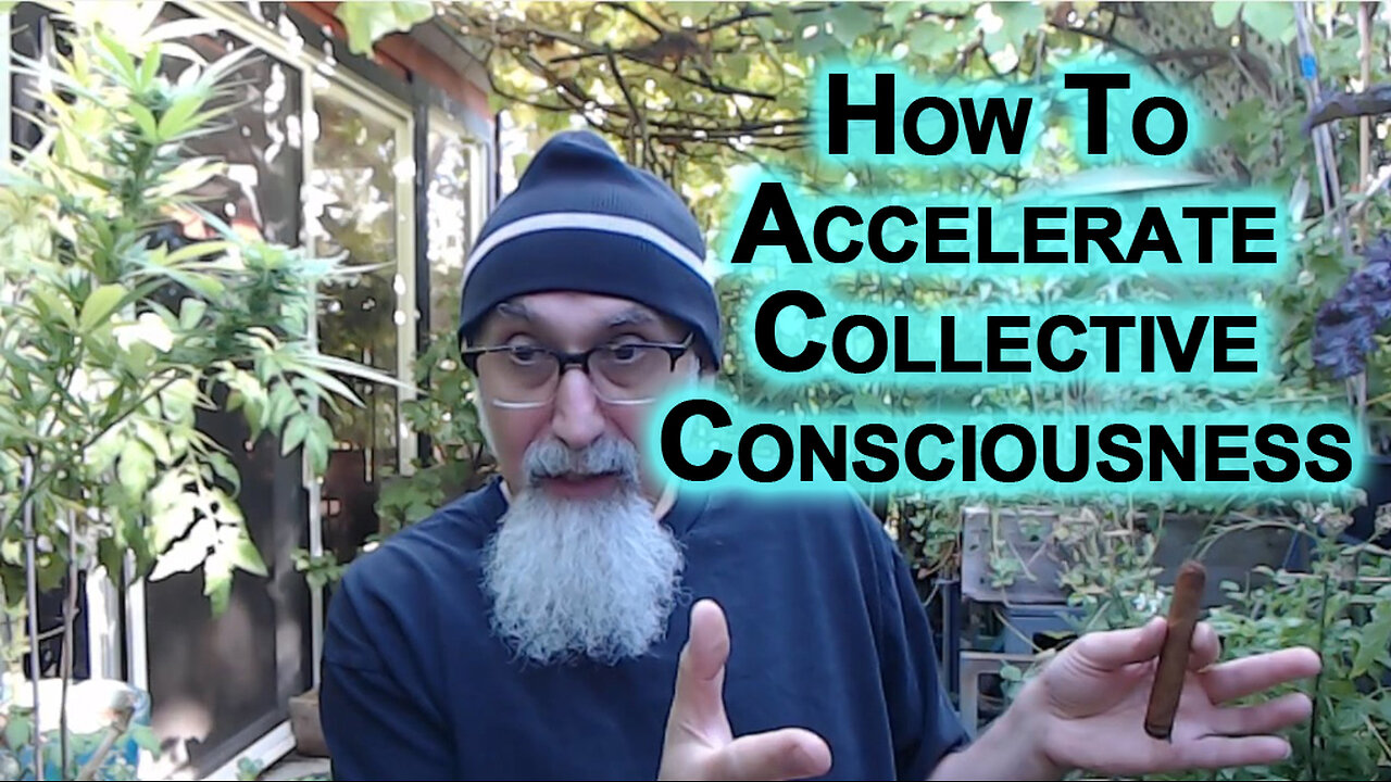 How To Accelerate Collective Consciousness: Let System Collapse, Build Alternatives, Solutions