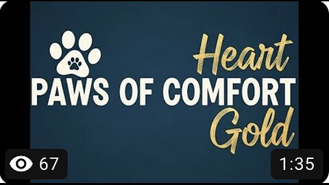 Paws of Comfort, Heart of Gold [Music]