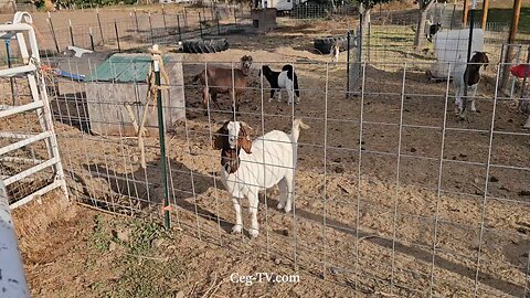 Graham Family Farm NW: 9:00 AM October 8 2025