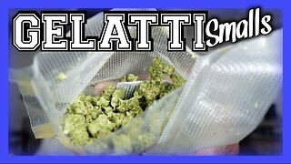 🔥💨 Gelatti Smalls Got Me Floatin’ 😮‍💨🌿 | JK Distro Review