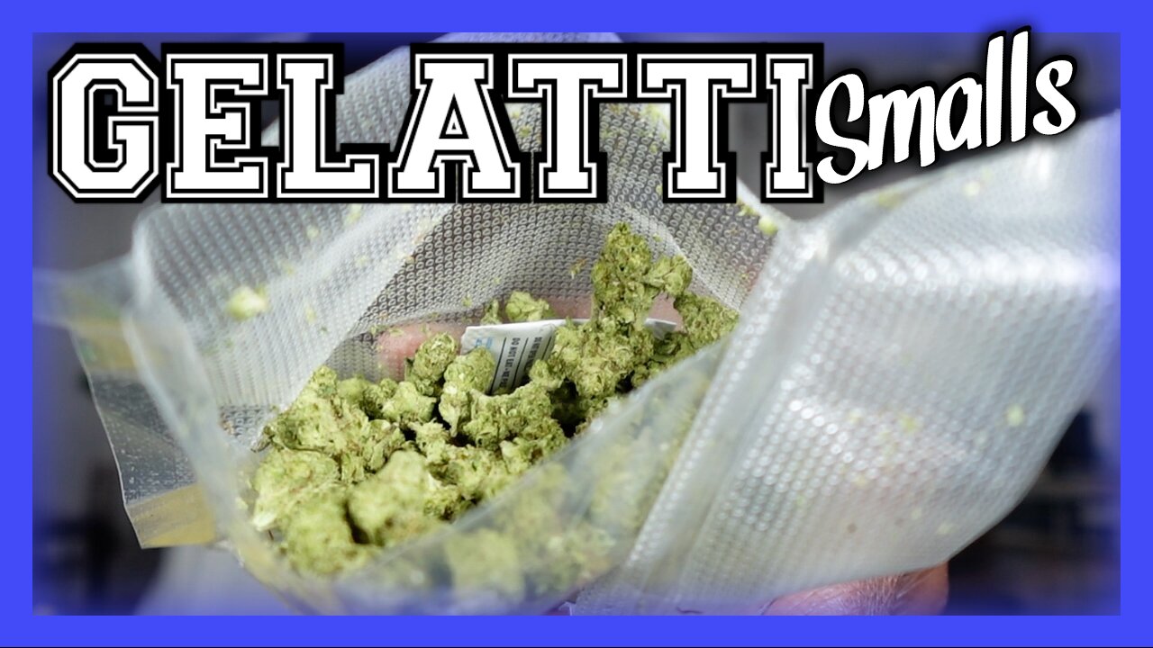 🔥💨 Gelatti Smalls Got Me Floatin’ 😮💨🌿 | JK Distro Review