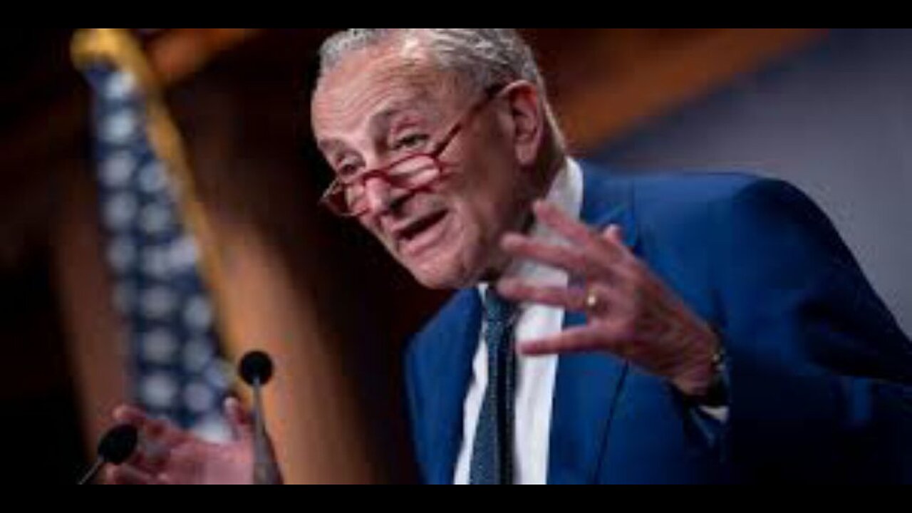 GOP Panel Slams Candidate for Claiming Not to Know Schumer