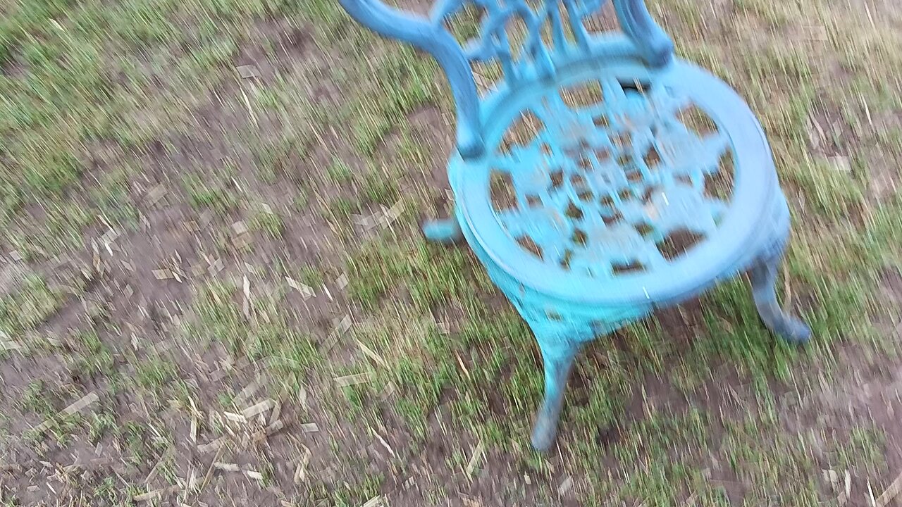 Scappoose dog shit patrol