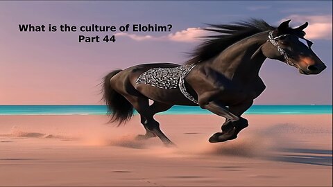 What is the culture of Elohim? Part 44