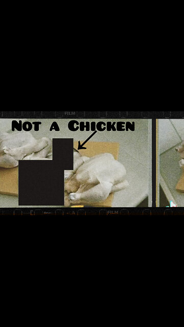 The three Chickens image in Epstein Files - Redacted Chicken in the middle is not a chicken