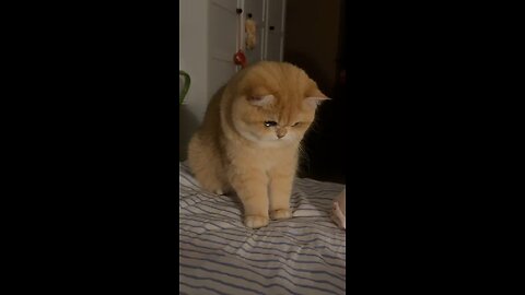 Those beautiful eyes 👀