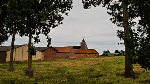 That one was just a cherry-popper, this one, who rests in the centre, is of a different caliber