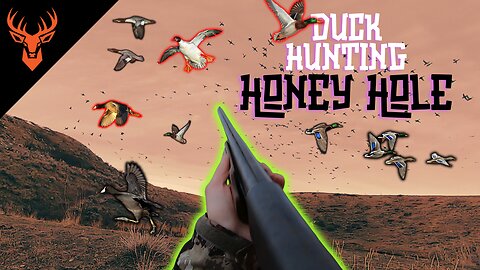 "Honey Hole" | A Duck Hunting Dream! | Small Pond Big Success | KAMPwild Adventures