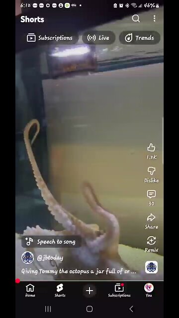 Feeding Time For Tommy The Octopus