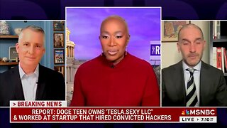 Nothing Personal: Joy Reid Doesn't Want DOGE's 'Big B-A-L-L-S' Near Americans' Sensitive Data