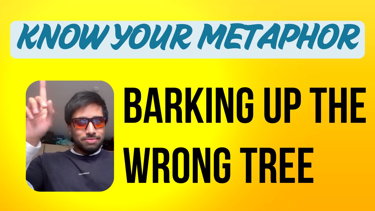 Barking Up the Wrong Tree - Metaphor of the day