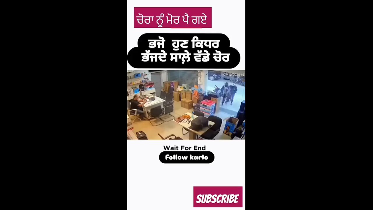 ਚੋਰਾ ਨੂੰ ਪੈ ਗਏ ਮੋਰ Peacocks fell to the thief