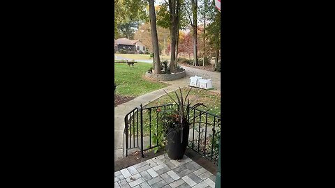 Мир и покой