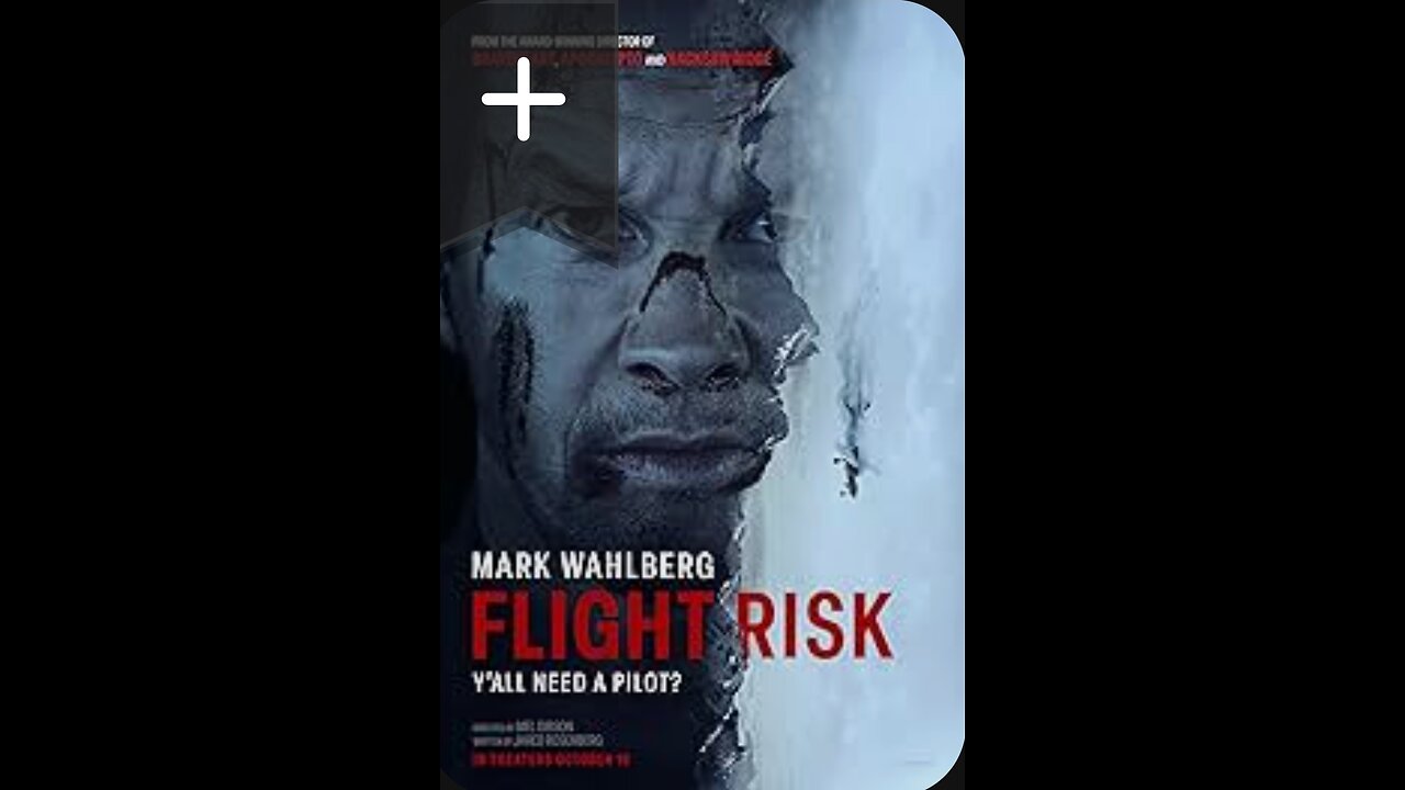 Flight Risk – The Thrilling Ride of Survival and Secrets