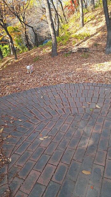 20251202. Amazing Grace.