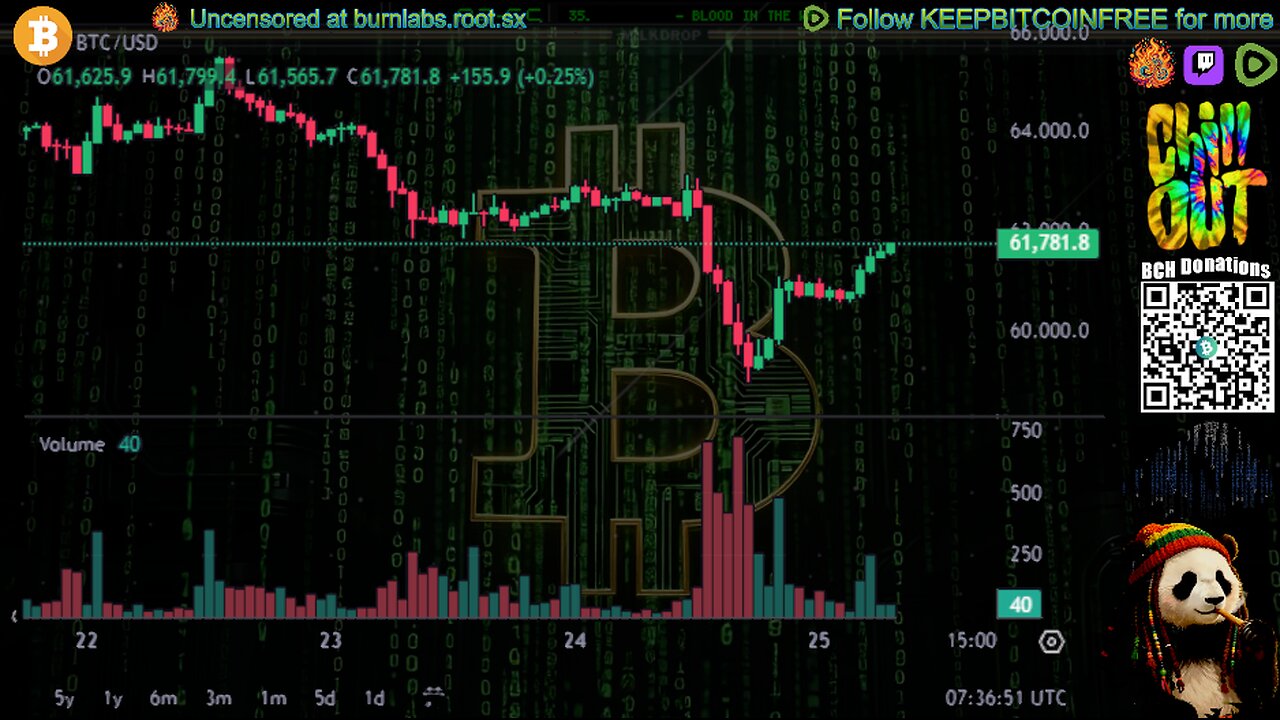 COIN TRADER | LIVE BTC Price Charts & LoFi Music with Milkdrop