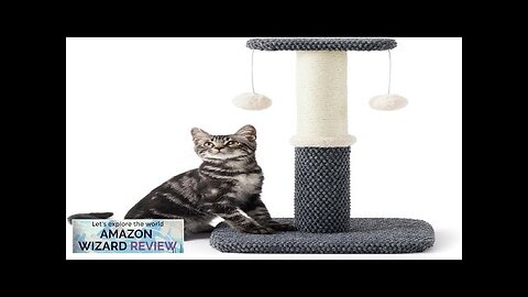 Lesure Cat Scratching Post for Indoor Cats Highly Resistant Carpet Scratch Review