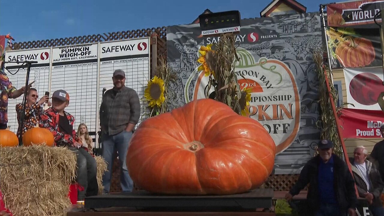 Half Moon Bay hosts annual giant pumpkin weigh-off - October 13, 2025